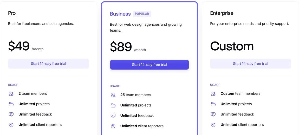 Feedbucket pricing billed monthly: Pro $49 a month for 2 team members, Business $89 for 25, Enterprise custom, each with unlimited projects, feedback and client reporters